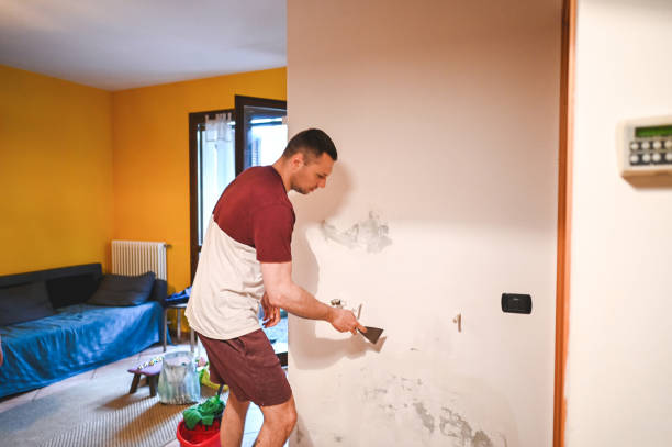 Best Professional Mold Removal  in Tonto Basin, AZ